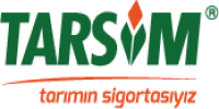 tarsim